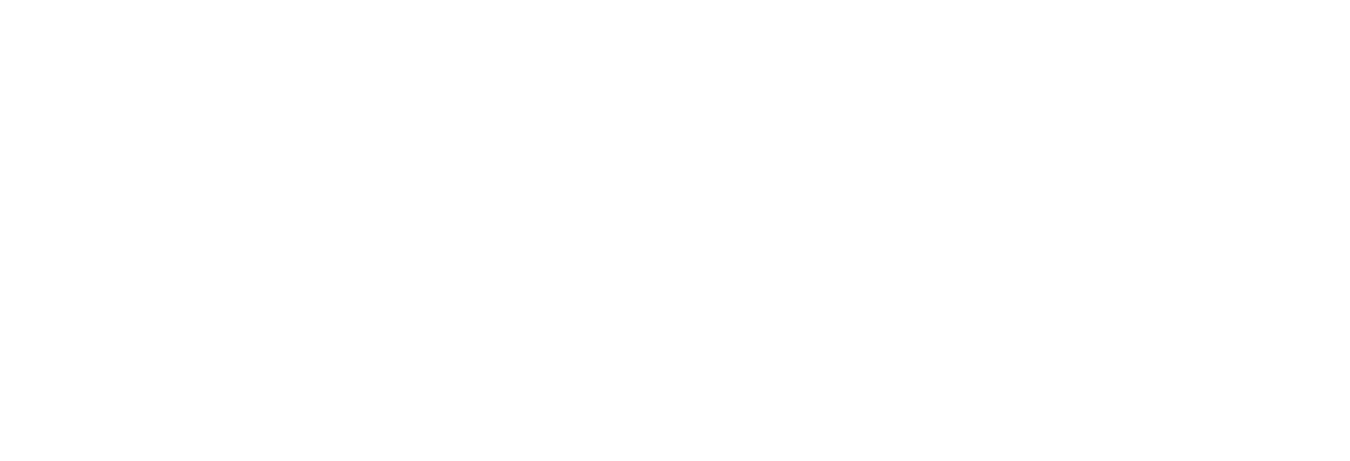ppaLogo_L